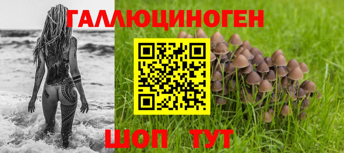 Галлюциногенные грибы Psilocybe Котельники