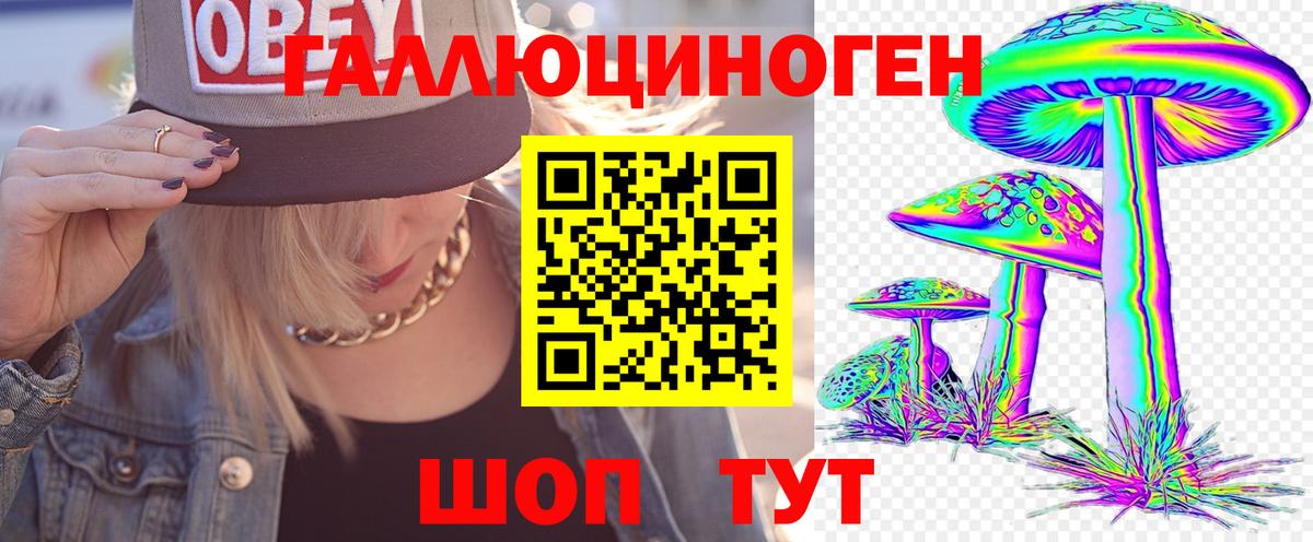 Котельники  Галлюциногенные грибы Magic Shrooms  Вход с VPN 